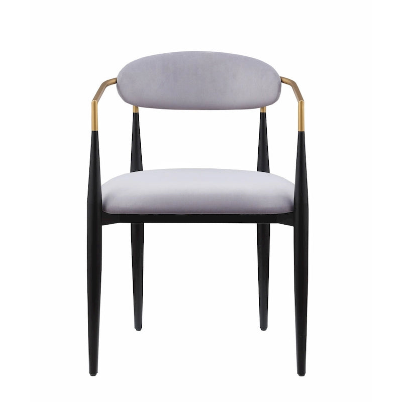 Modern Contemporary 2pcs Side Chairs
